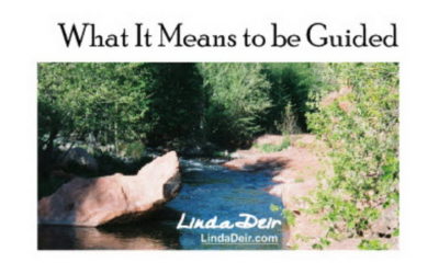 What It Means to be Guided