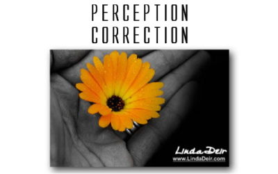 Perception Correction