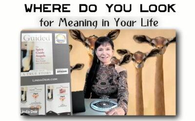 Where Do You Look for Meaning in Your Life