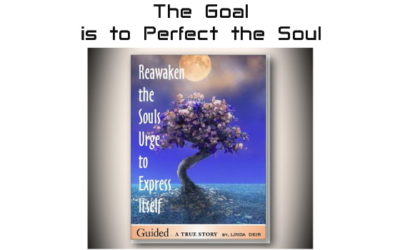 The Goal is to Perfect the Soul