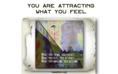 You Are Attracting What You Feel