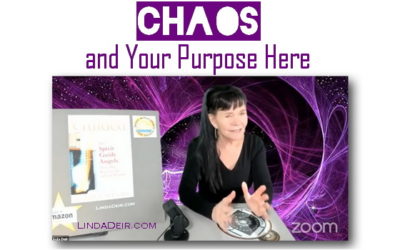 Chaos and Your Purpose Here