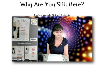 Why Are You Still Here?