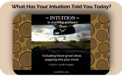What Has Your Intuition Told You Today?