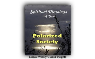 Spiritual Meanings of Your Polarized Society