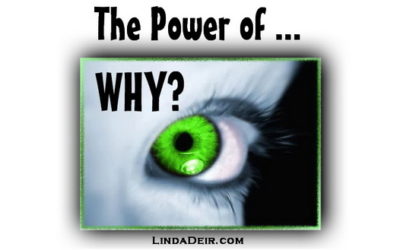 The Power of Why