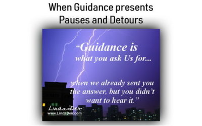 When Guidance presents Pauses and Detours