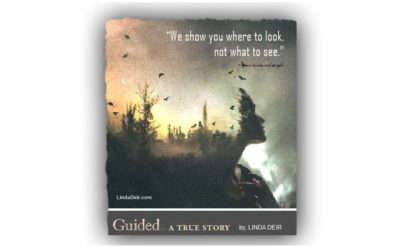 We Show You Where to Look, Not What to See