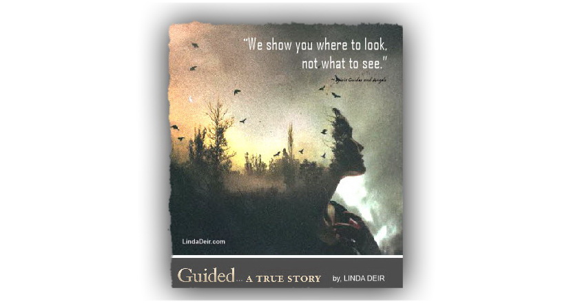 We Show You Where to Look, Not What to See