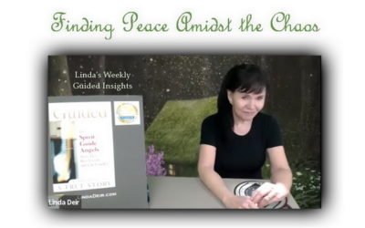 Finding Peace Amidst the Chaos