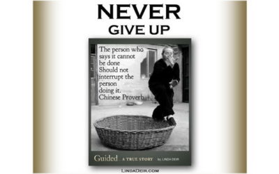 Never Give Up